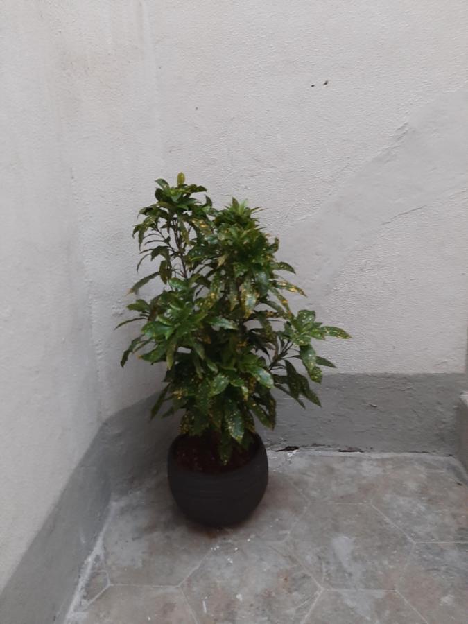 Al Crocifisso...Da Nonna Pia Appartement Salerno Buitenkant foto